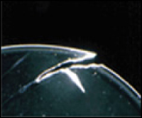 cl6.jpg