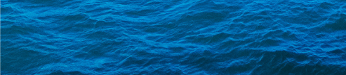 mauijim.png