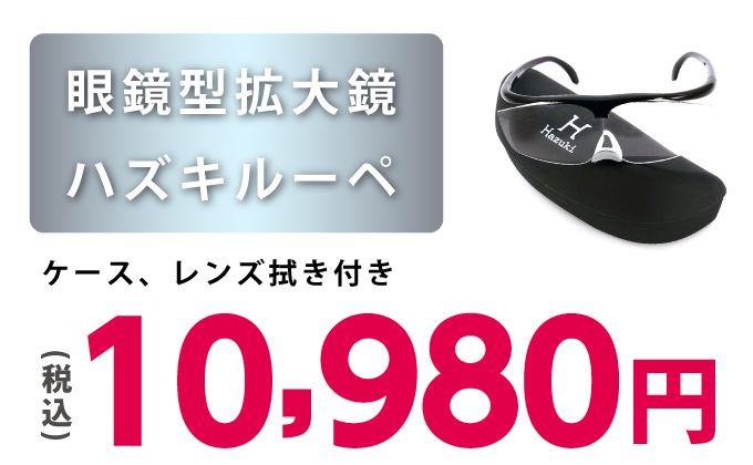 メガネ型拡大鏡ハズキルーペ 、ケースレンズ付き、税込10,980円