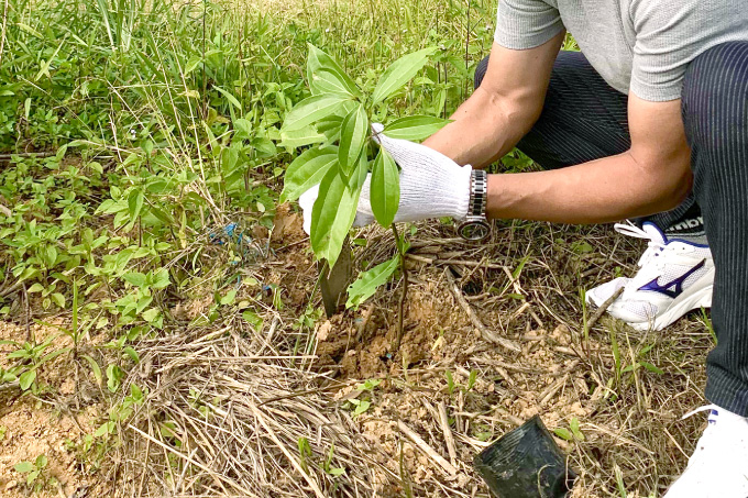 からぎの植樹