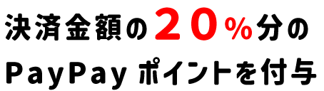 決済金額の２０％分のPayPayポイントを付与