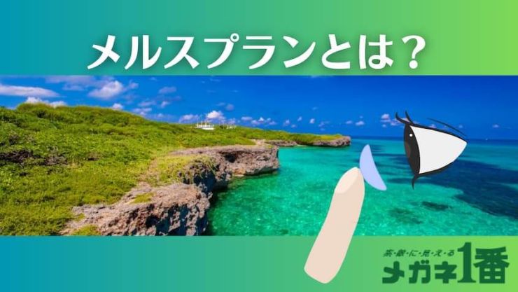 メルスプランとは
